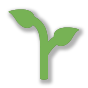 🌱