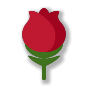 🌹
