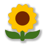 🌻