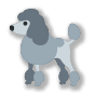 🐩