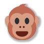 🐵