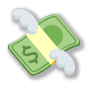 💸