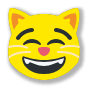 😸