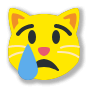 😿