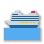 🛳️