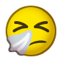 🤧