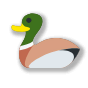 🦆