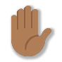 ✋🏾