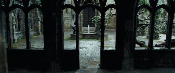 Image posted by the member