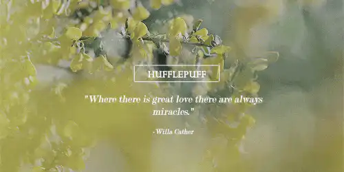 Image posted by the member