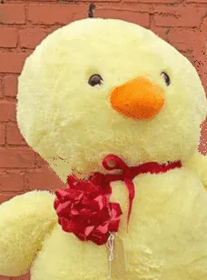 Image posted by the member