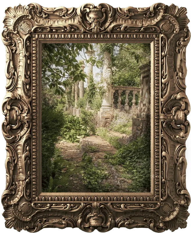 Image posted by the member