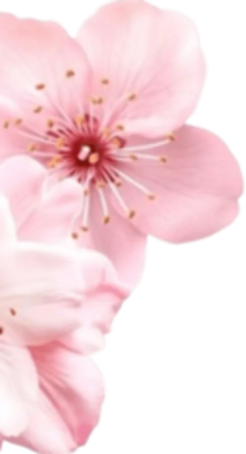 Image posted by the member
