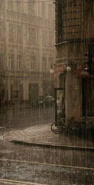Image posted by the member