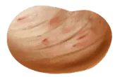 Image posted by the member