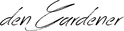 Image posted by the member