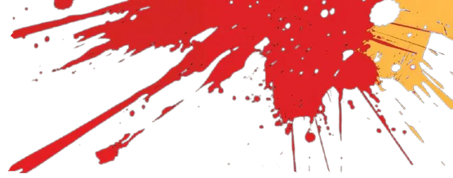 Image posted by the member