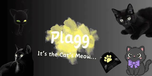 Image posted by the member
