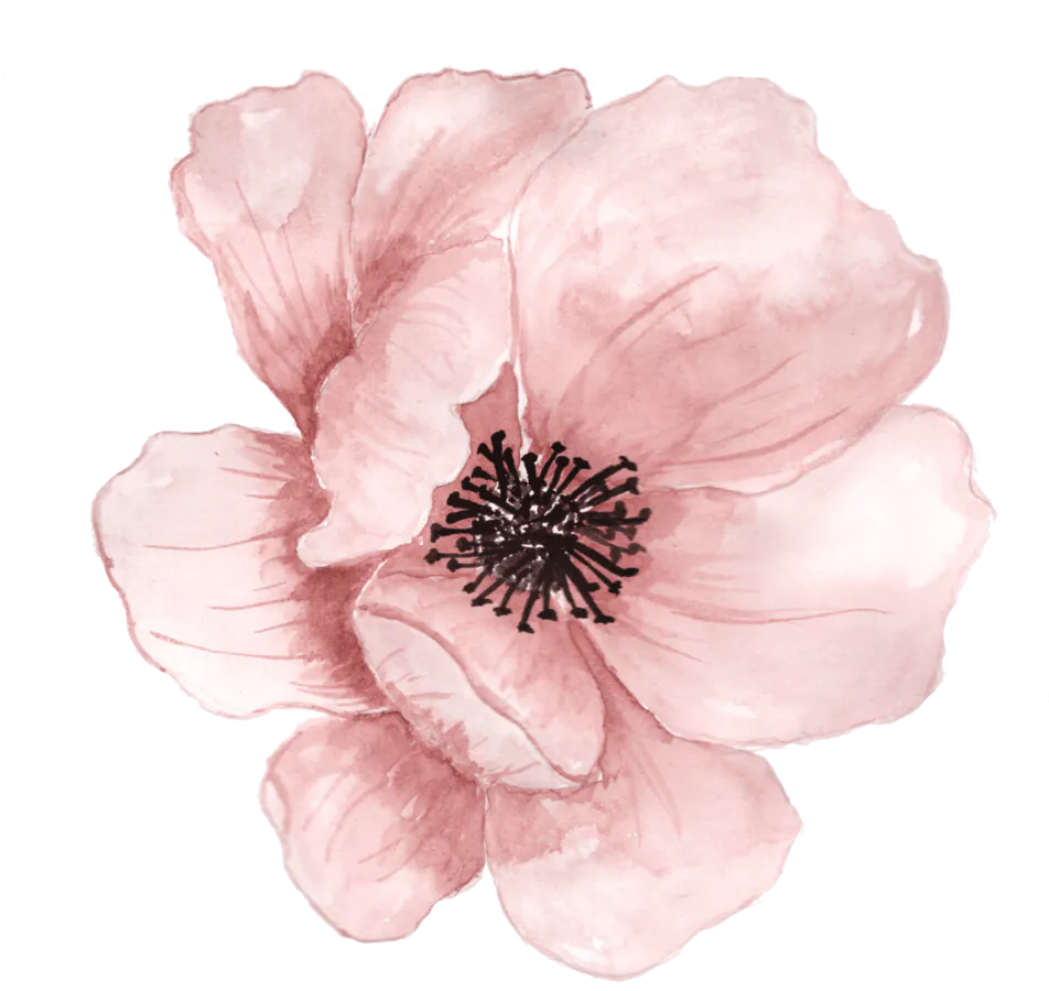Image posted by the member