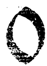 Image posted by the member