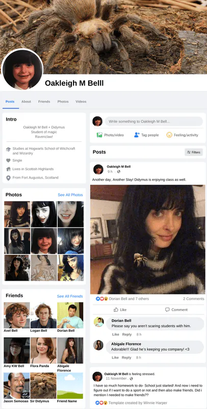 Image posted by the member