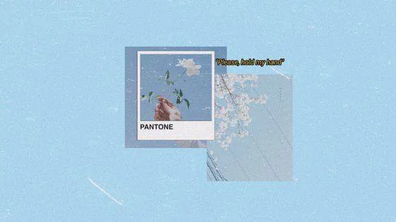 Image posted by the member