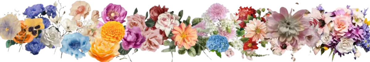 Image posted by the member