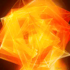 Image posted by the member