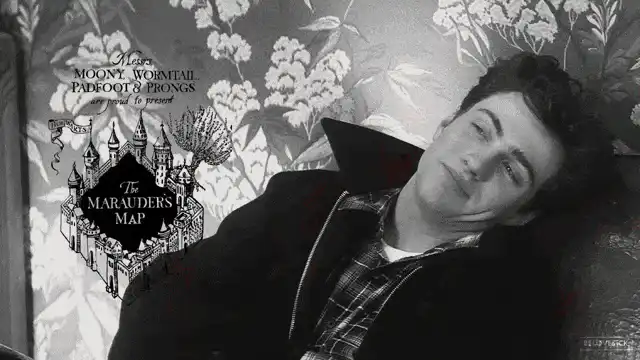 Image posted by the member