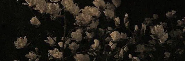 Image posted by the member