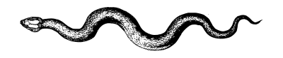 Image posted by the member