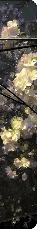 Image posted by the member