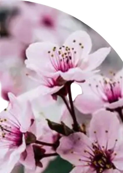Image posted by the member
