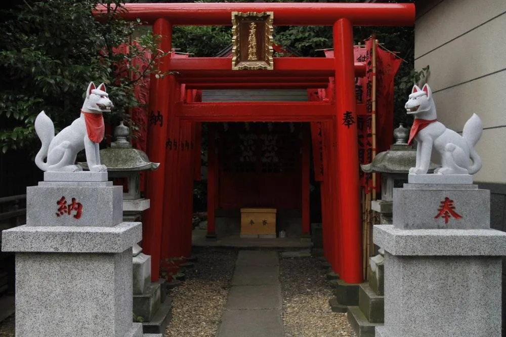 Image posted by the member
