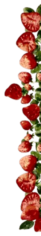 Image posted by the member
