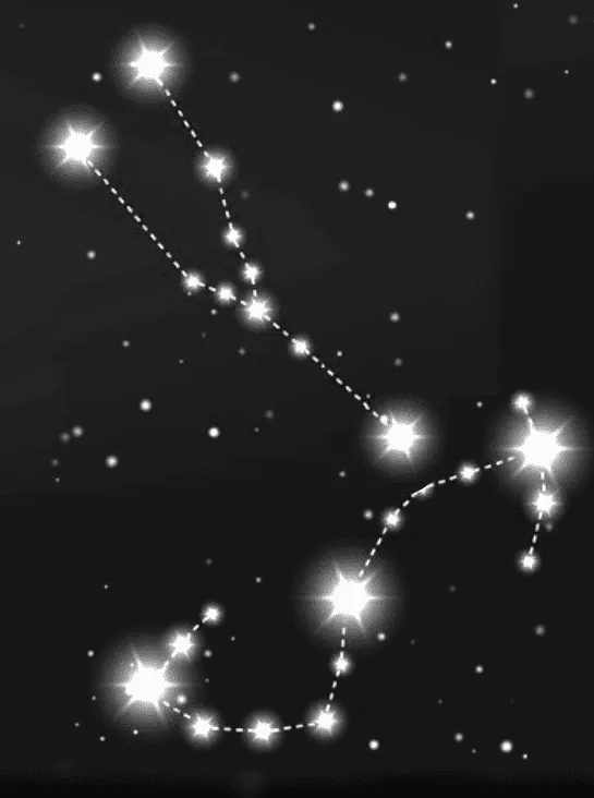 Image posted by the member