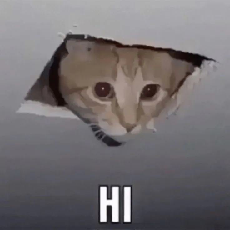 hi