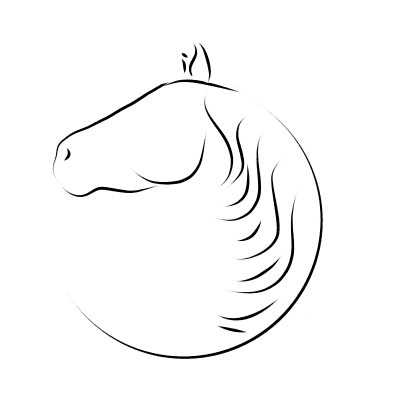 Image posted by the member
