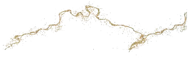 section break image