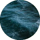 Image posted by the member