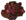 Image posted by the member