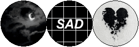 Image posted by the member