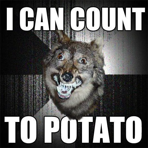 Image posted by the member