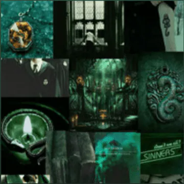 Image posted by the member