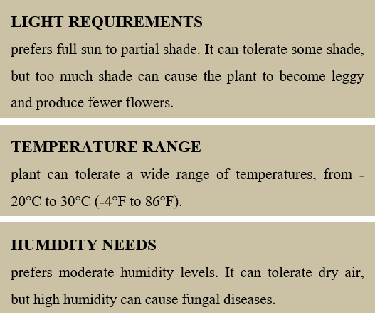 guideline