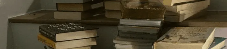 Image posted by the member
