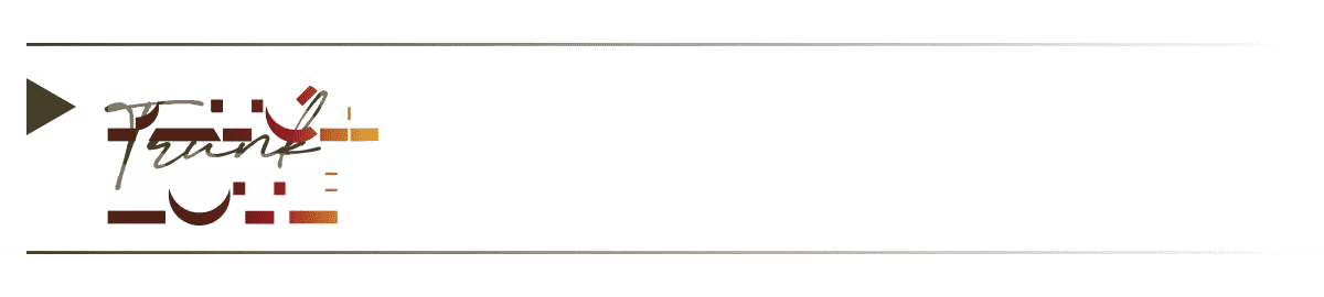 Image posted by the member