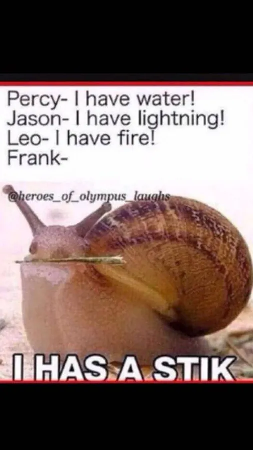 Image posted by the member