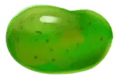 Image posted by the member