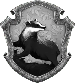 Image posted by the member